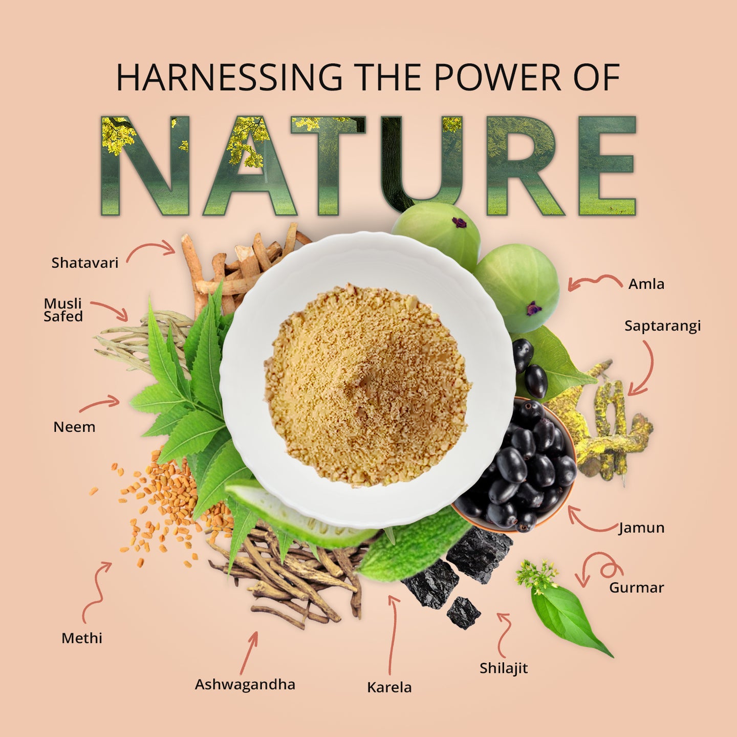 a bowl of Neem karela jamun powder in the middle. Surrounded by its ingredients such as amla, methi, neem, jamun, shilajit, gurmar, etc.